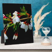 Plaque Photo Élégant noir blanc fleuri blanc Blossom (Côté)