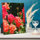 Plaque Photo Élégant rose à fleurs rose oranger (Côté)