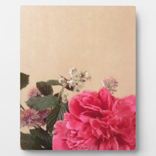Plaque Photo Élégante crème rose florale