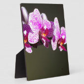 Plaque Photo Élégante orchidée rose fleurie tropicale (Côté)