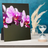 Plaque Photo Élégante orchidée rose fleurie tropicale (Côté)