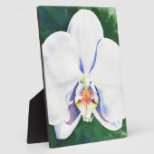 Plaque Photo Elégante peinture d'orchidée blanche (Côté)