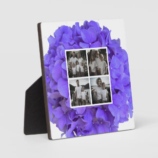 Plaque Photo Élégantes hydrangeas florales lilas lavande violet