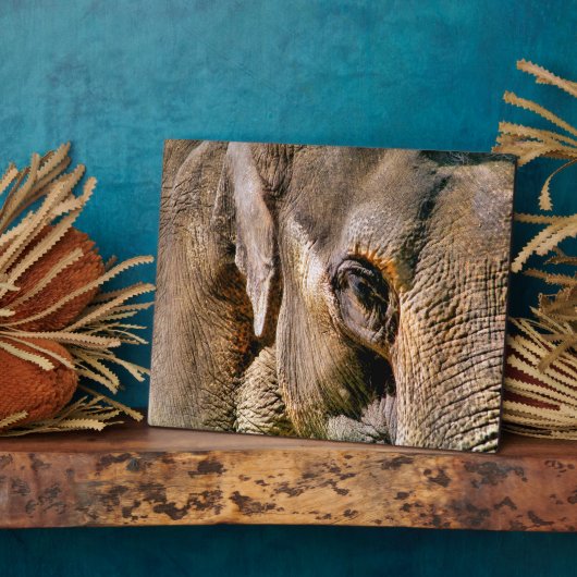 PLAQUE PHOTO ÉLÉPHANT (Côté)