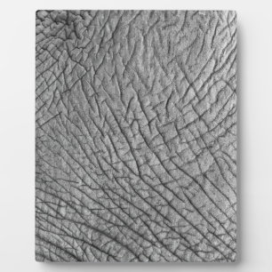 Plaque Photo Elephant skin