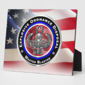 Plaque Photo Élimination des munitions explosives (Côté)