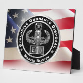 Plaque Photo Élimination des munitions explosives (Côté)