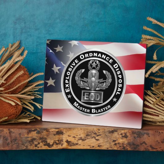 Plaque Photo Élimination des munitions explosives (Côté)