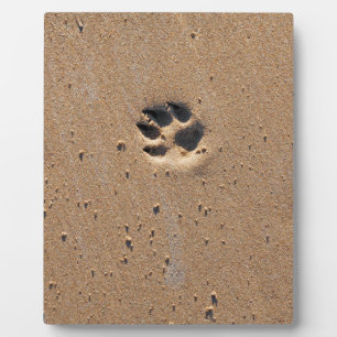 Plaque Photo Empreintes de pattes animaux dans le sable