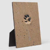 Plaque Photo Empreintes de pattes animaux dans le sable (Côté)