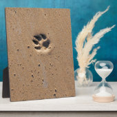 Plaque Photo Empreintes de pattes animaux dans le sable (Côté)