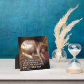 Plaque Photo Empreintes de pattes de Sweet Dreams (Insitu)