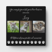 Plaque Photo Empreintes de pattes & Souvenirs - Photo personnal (Devant)