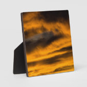 Plaque Photo épuisement des aigles (Recto)