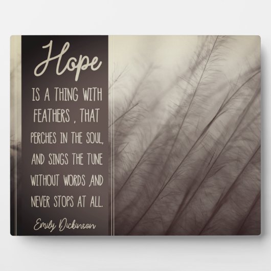 Plaque Photo ESPÉRER UNE CHOSE Avec Des Plumes (Devant)