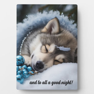 Plaque Photo Et à tous une bonne nuit