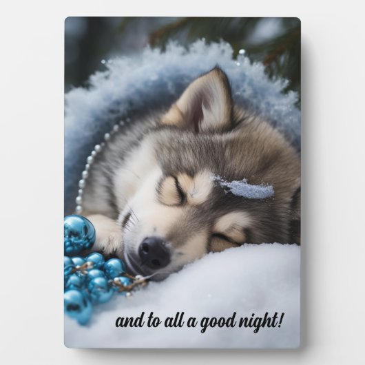 Plaque Photo Et à tous une bonne nuit (Devant)