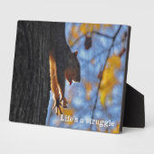 Plaque Photo Étiquetage écureuil (Côté)