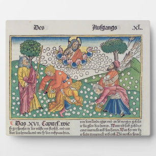 Plaque Photo Exodus 16 13-22 God provides quail and manna to th