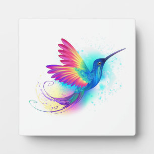 Plaque Photo Exotic Rainbow Hummingbird