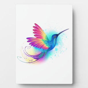 Plaque Photo Exotic Rainbow Hummingbird
