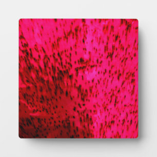 Plaque Photo Faience fraise
