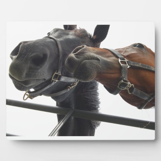 Plaque Photo Faire du cheval autour (Devant)