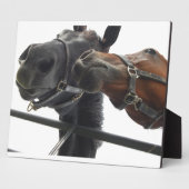 Plaque Photo Faire du cheval autour (Côté)