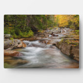Plaque Photo Fall at Jefferson Brook, New Hampshire (Devant)