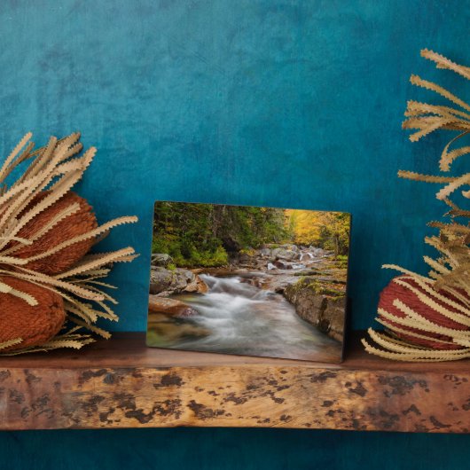 Plaque Photo Fall at Jefferson Brook, New Hampshire (Côté)