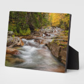 Plaque Photo Fall at Jefferson Brook, New Hampshire (Côté)