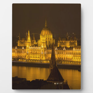 Plaque Photo Famine Parliament Budapest by night