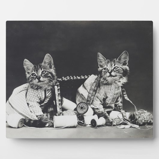 Plaque Photo Fauteurs de troubles chatons 1914 (Devant)