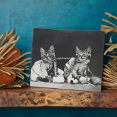 Plaque Photo Fauteurs de troubles chatons 1914 (Côté)