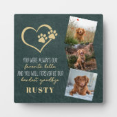 Plaque Photo Favori Hello Hardest Goodbye Pet Memorial (Devant)