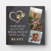 Plaque Photo Favori Hello Hardest Goodbye Pet Memorial (Devant)