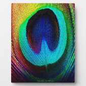 Plaque Photo Feather (Devant)