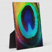 Plaque Photo Feather (Côté)