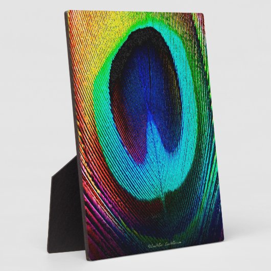 Plaque Photo Feather (Côté)