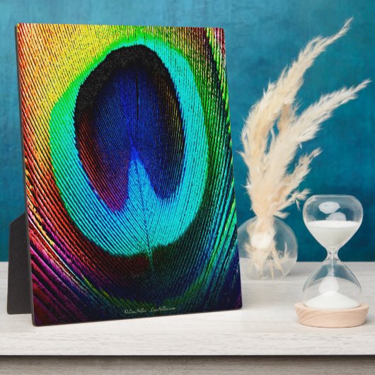 Plaque Photo Feather (Côté)