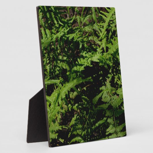 Plaque Photo Fermes botaniques vertes (Côté)