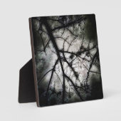 Plaque Photo Fermeture (Recto)