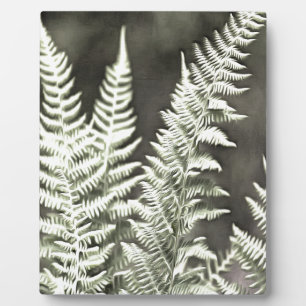Plaque Photo Fern Artistic Abstrait