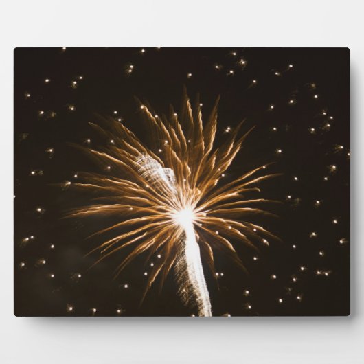 Plaque Photo Feu d'artifice sur la rivière Savannah (Devant)