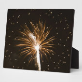 Plaque Photo Feu d'artifice sur la rivière Savannah (Côté)