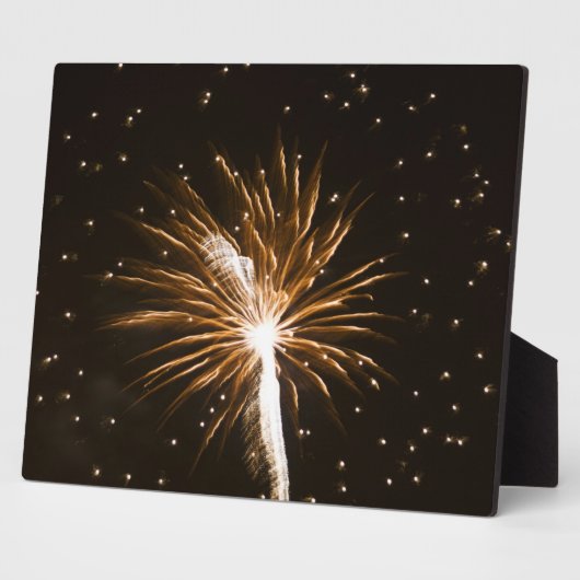 Plaque Photo Feu d'artifice sur la rivière Savannah (Côté)