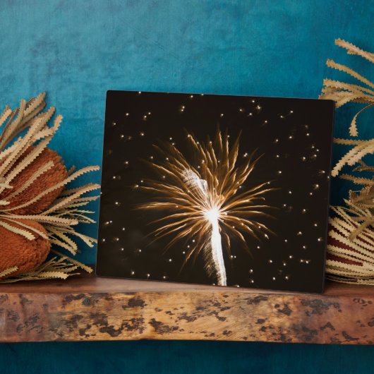 Plaque Photo Feu d'artifice sur la rivière Savannah (Côté)