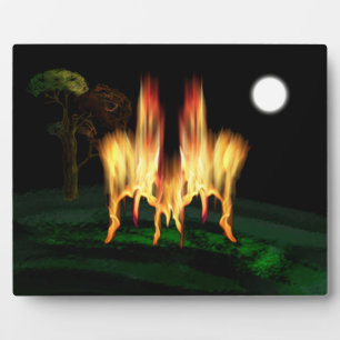 Plaque Photo Feu d'incendie
