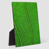 Plaque Photo Feuille (Côté)