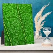Plaque Photo Feuille (Côté)